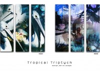 /album/gallery-three/tropical-triptych-2-jpg/